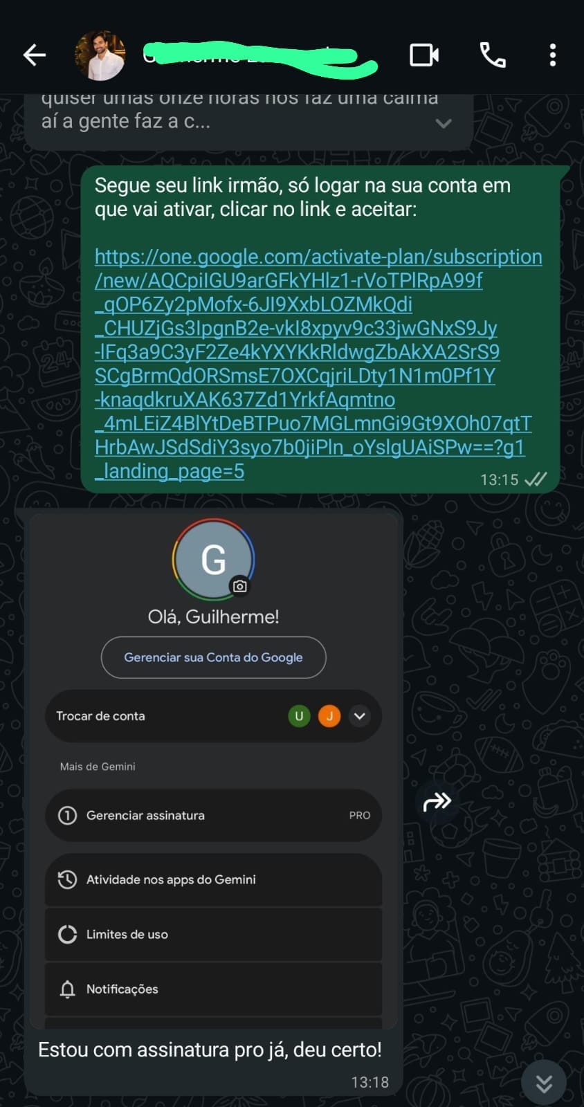 Ativação Google AI Pro 1